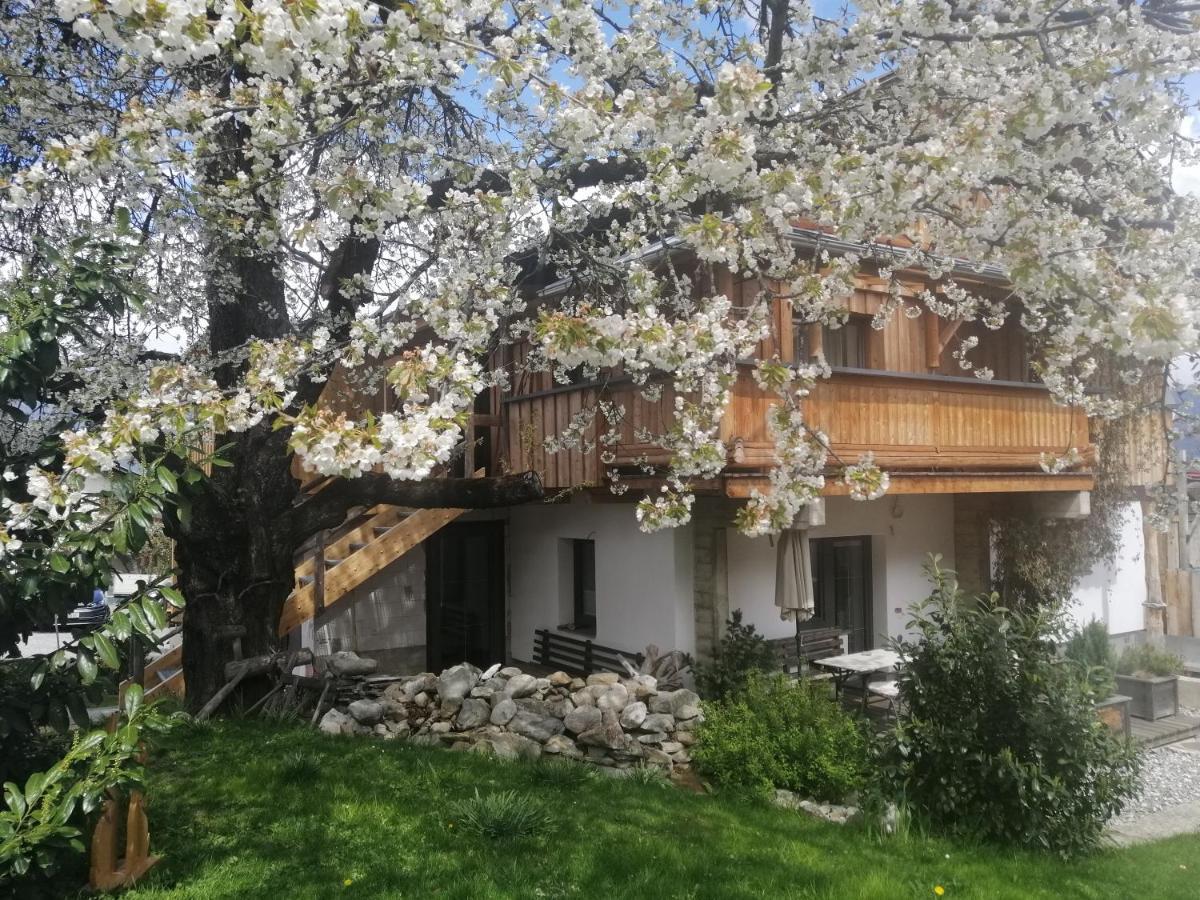 Appartement Seppi Innsbruck Ngoại thất bức ảnh