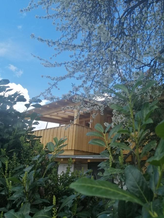 Appartement Seppi Innsbruck Ngoại thất bức ảnh