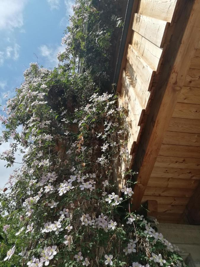Appartement Seppi Innsbruck Ngoại thất bức ảnh