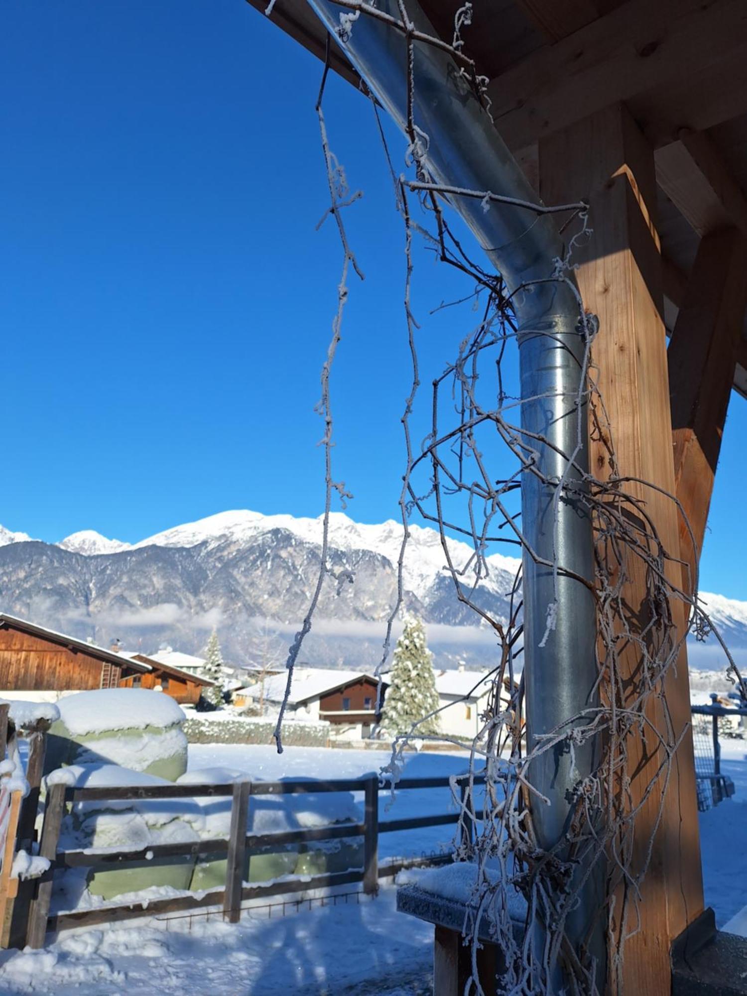 Appartement Seppi Innsbruck Ngoại thất bức ảnh